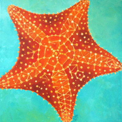 'Orange Starfish' Print on Wrapped Canvas