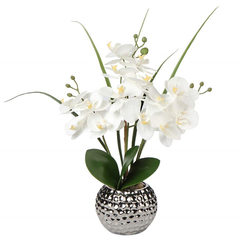 Haffner Arrangement