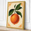 Orange Study Botanical 1 Piece Wrapped Canvas Wall Art-1488145750-1488145770