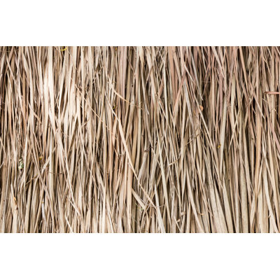 " Thatch Roof Background "
