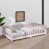 Rose est en rupture de stock