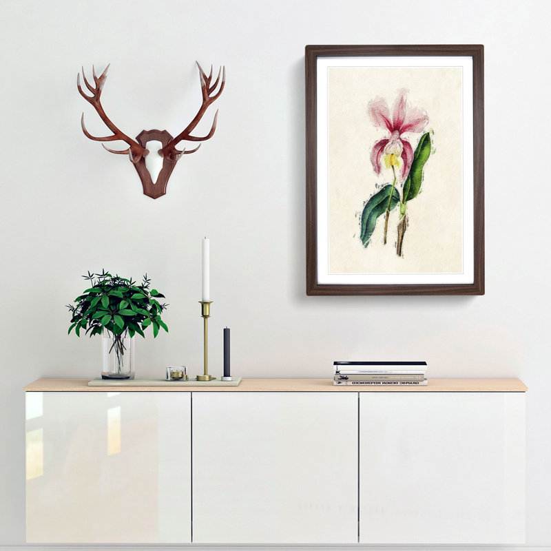 Illustration of a Pink Cattleya Orchid - Picture Frame Painting Print, Walnut Framed, 48cm H x 36cm W x 2cm D