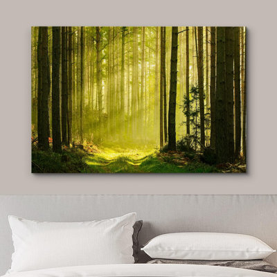 Nature, paysage, printemps, été, soleil, forêt verte, photographie sur toile