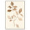 Sépia brins IV, reproduction d'art sur toile, Art naturel par Art Remedy