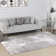 Oriental Area Rug