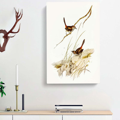 Cautious Wren by Elizabeth Gould - Wrapped Canvas