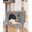 199cm H Cat Tree