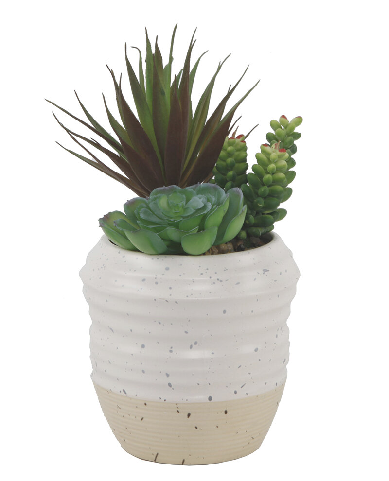 Primrue 9'' Faux Succulent Plant in Ceramic Planter & Reviews | Wayfair