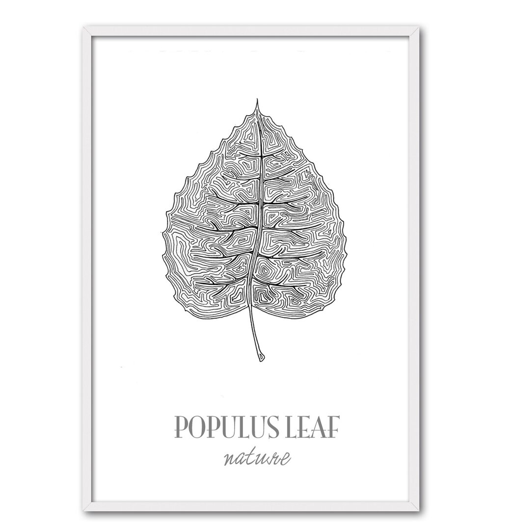 Gerahmtes Poster Populus Leaf von César Ortiz Echagüe