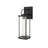 Zev 15 inch LED Outdoor Wall sconce in Black