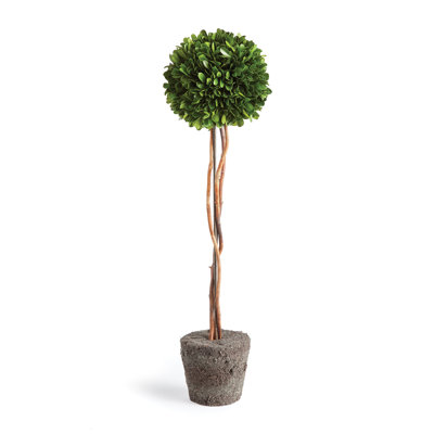 Alby Faux Boxwood Topiary in Planter
