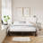 7" Steel Bed Frame Heavy-Duty Noise-Free No Boxspring Needed with Rubber Corner Guards-250813706