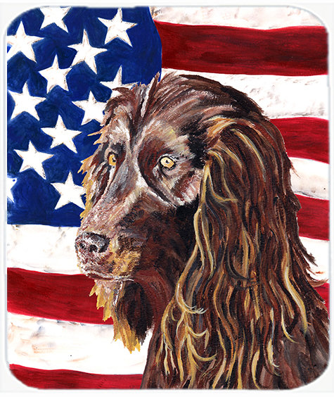 Planche à découper en verre American Flag American Boykin