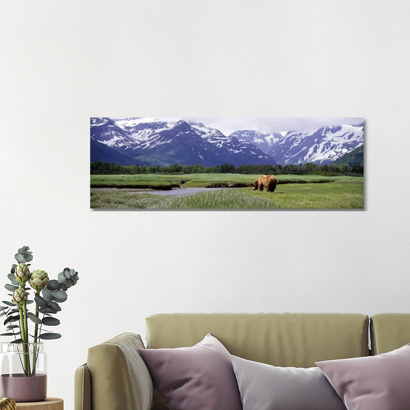 Grizzly Bear (Ursus Arctos Horribilis) Grazing in a Field, Kukak Bay, Katmai National Park, Alaska, USA #2 1 Piece Wrapped Canvas Panoramic Wall Art