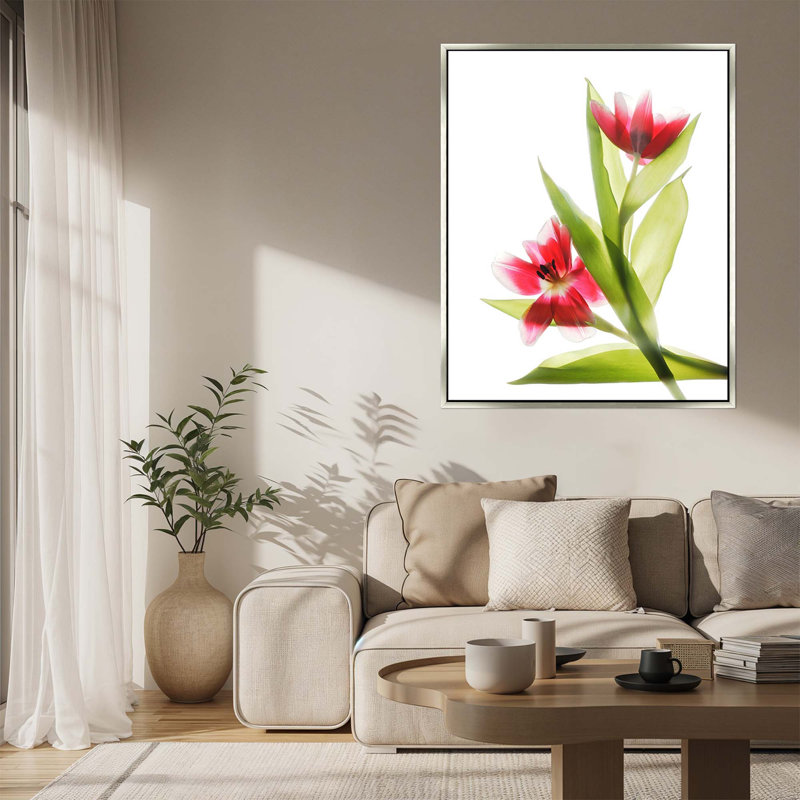 Red Tulips II - Framed, Medium