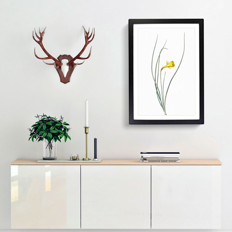 Daffodil by Pierre-Joseph Redoute - Framed Print, 65cm H x 48cm W x 2cm D, Black Framed