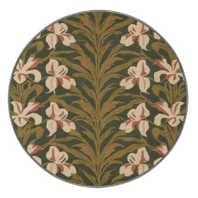 Machine Washable Botanical Brown Area Rug