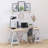 Metal Desk Lamp