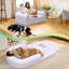 Orthopedic Polyester Pet Bed