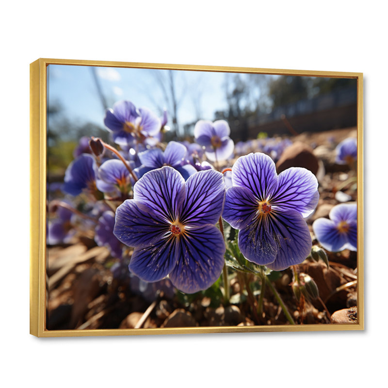 " Vibrant Violets Field Photo I ", 30" H x 40" W x 1.5" D, Gold Floater Framed