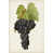 Black Floater Framed selected