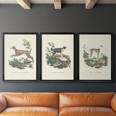 French Dogs I  -Custom Framed  Wrapped Gallery Canvas - 3 Pieces