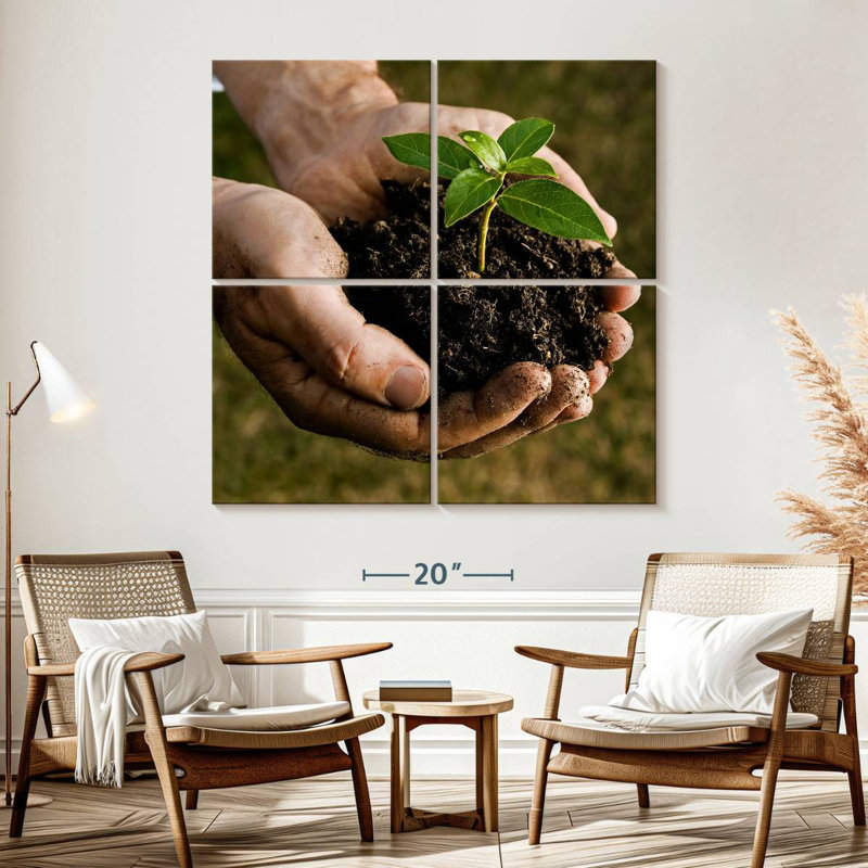 Senne New Seedling Sprouting, 57" H x 57" W