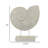 Seashell Tabletop Accent Decor, Faux Fossil, Rich White Resin 21 Inch