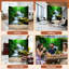 Paravent 4 panneaux pliable Royal Serene Waterfall Green Forest Moss Rocks Yellow Leaves