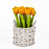 Orange est en rupture de stock