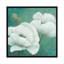 «Flora II», impression sur toile-29090074-72809485-72809486