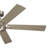 Lucian 60'' Ceiling Fan with LED Lights-715556960