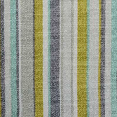 Winstead All Purpose Fabric, Platinum/Olive