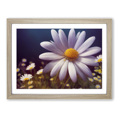 Extravagant Daisy Flower - Single Picture Frame Print