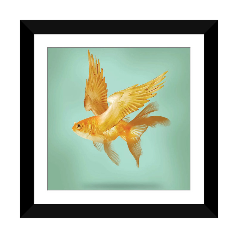" Flying Fish " by Vin Zzep, 16" H x 16" W x 1" D, Black Framed Fine Art Paper, White