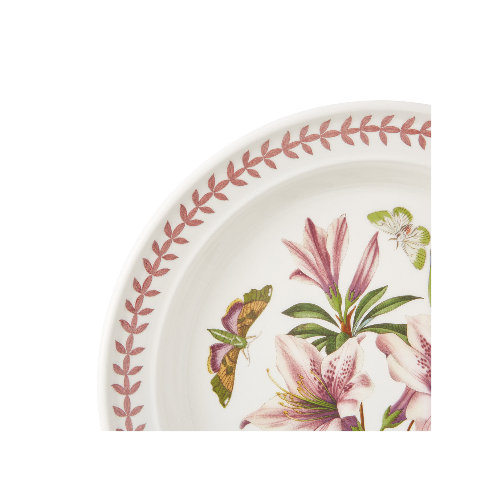 10" Dinner Plates, Set of 6