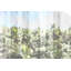 Parvez Taj - Wrapped Canvas Print-16673663