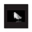 H01 A Bird debout, reproduction sur toile-435069771-435069782