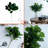 Home Decor Collection
