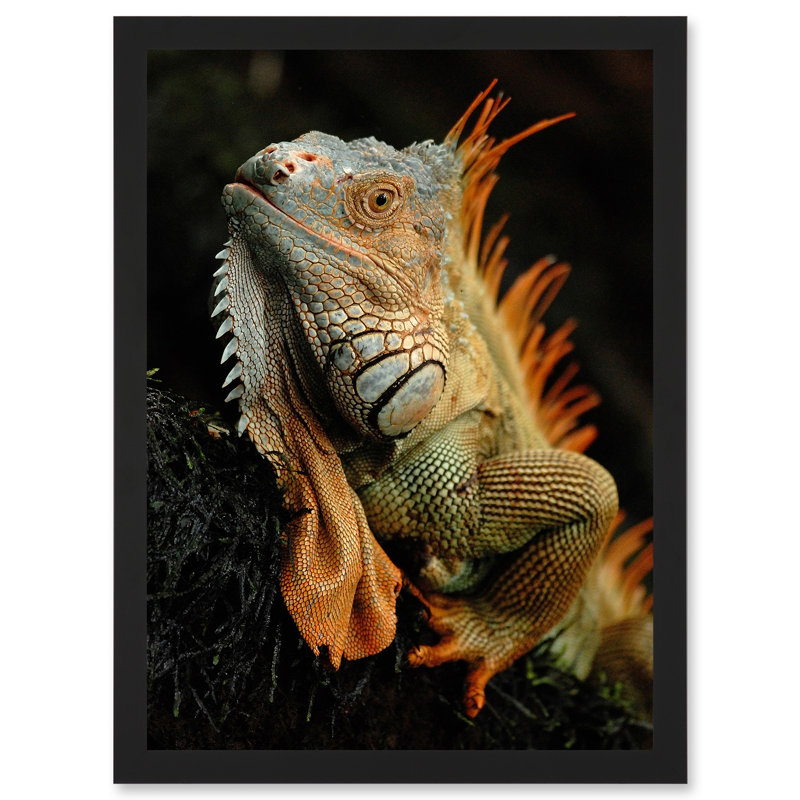 Single Picture Frame Print