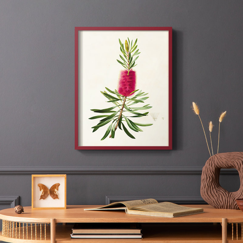 «Pretty Pink Botanicals VII», reproduction encadrée - bois massif, Rouge, H 10 po x l 8 po