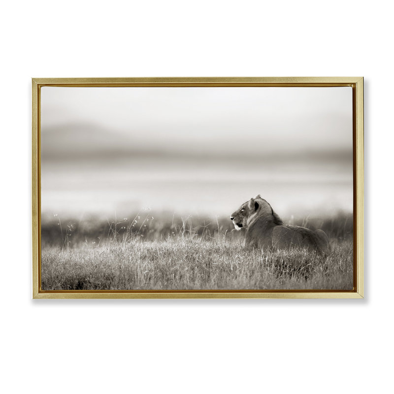 Lion au repos dans l'herbe de savane, H 21 po x l 31 po, Cadre flottant métallique doré