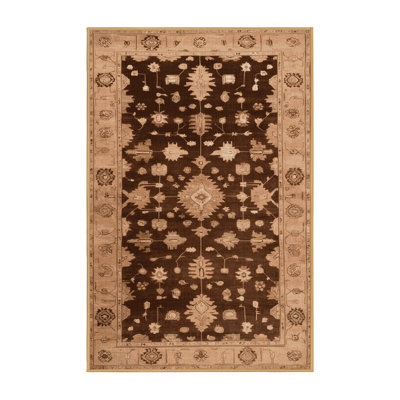 Machine Washable Overdyed Brown Area Rug