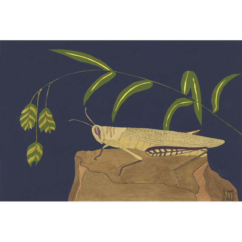 Ornamental Grasshopper II by Nina Tenser - Wrapped Canvas Print, 30cm H x 46cm W x 3.8cm D