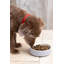 Petsware Dog Bowls-56471316-56471315