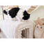 Banc en velours côtelé pour animaux avec rangement - cachette pour chats dans le vestibule, la chambre à coucher et le salon