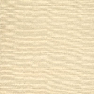 Indoor Rug
