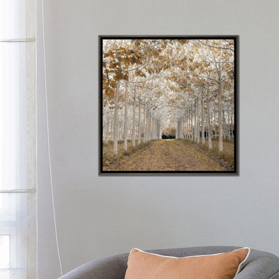 « white gold », reproduction de photo sur toile