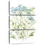Avery Garden Lace II-108660901