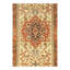 Oriental Area Rug in Ivory